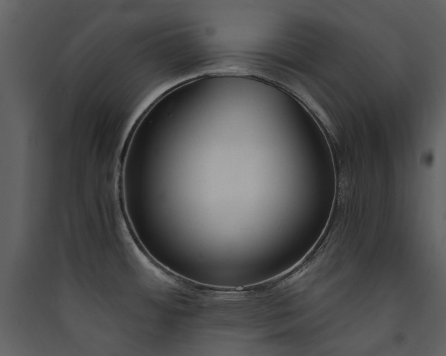 X0000089931484200707131422