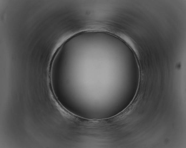 X0000089931485200707131422