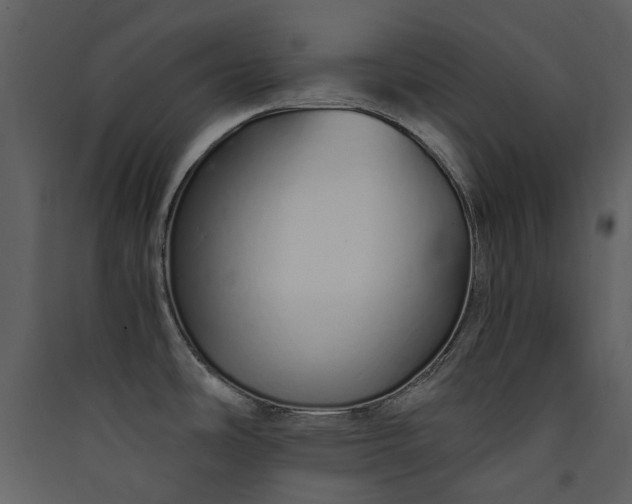 X0000089931486200707131422