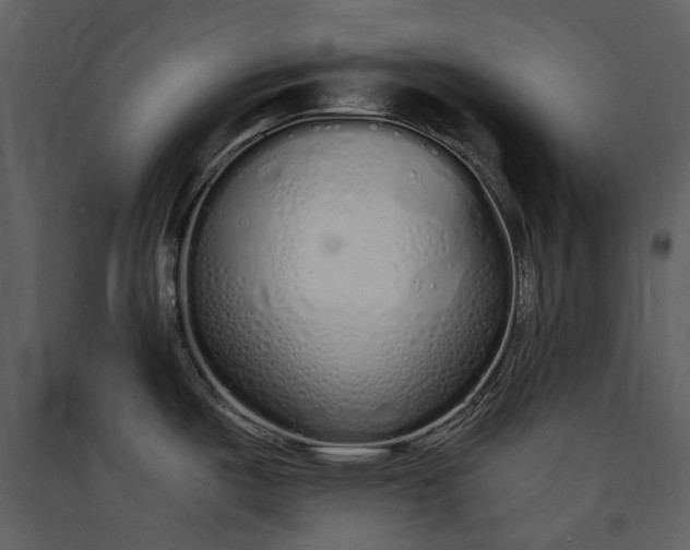 X0000089931487200707131422