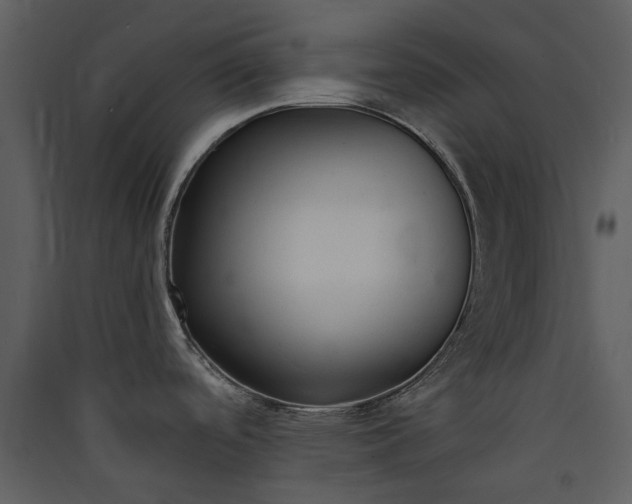 X0000089931488200707131422