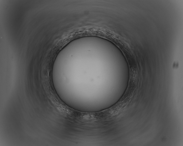 X0000089931489200707131421