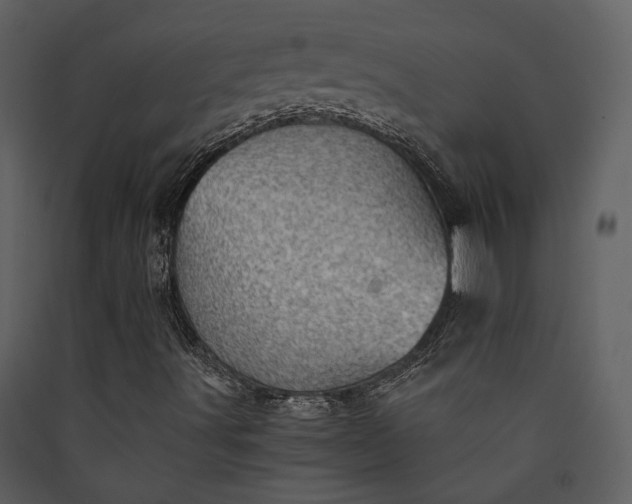 X0000089931491200707131421