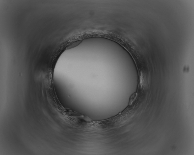 X0000089931492200707131421