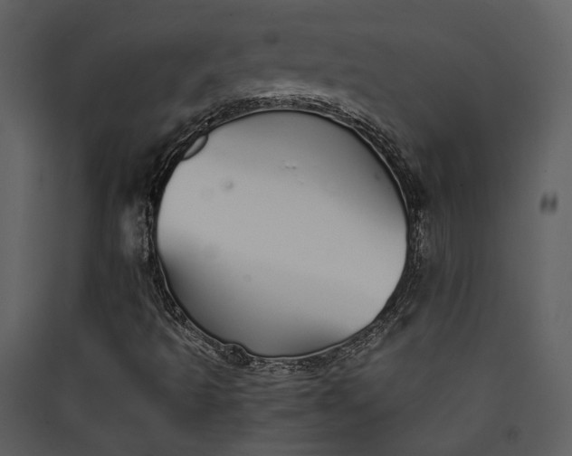 X0000089931493200707131421