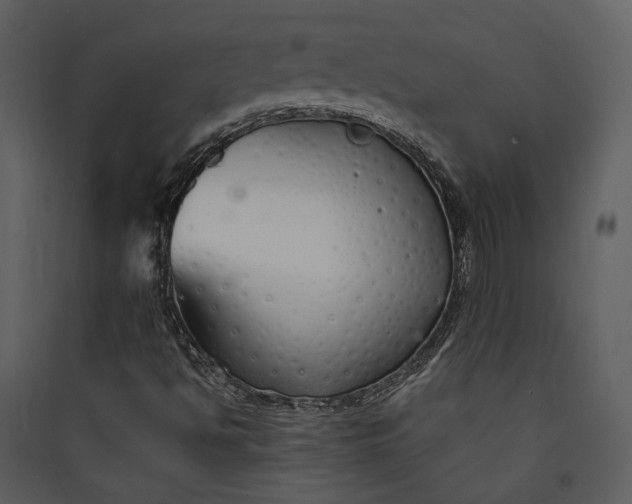 X0000089931494200707131421