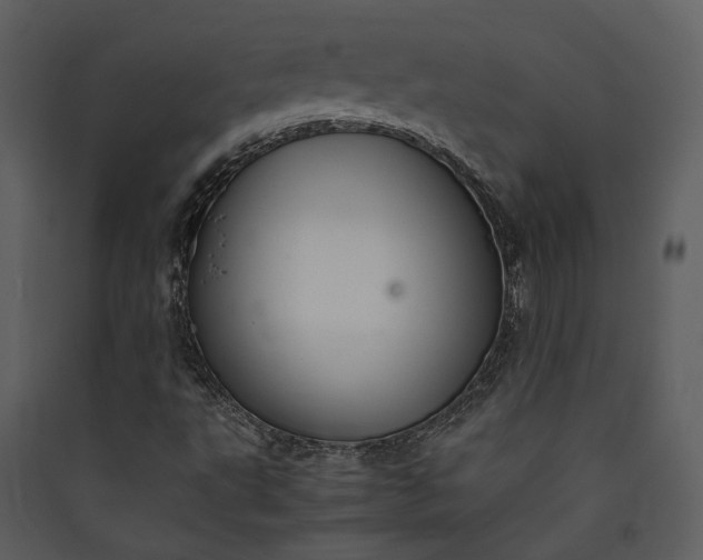 X0000089931495200707131421