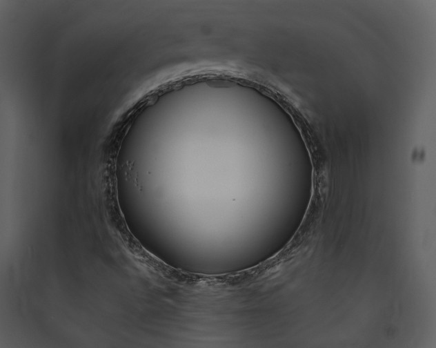 X0000089931496200707131421