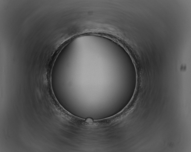 X0000089931497200707131421