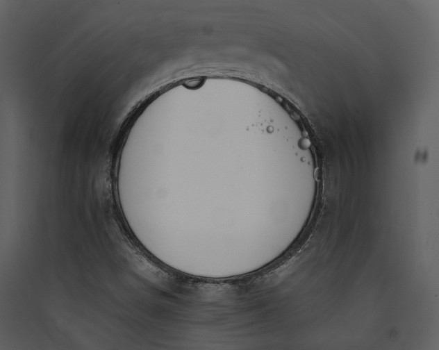 X0000089931498200707131421