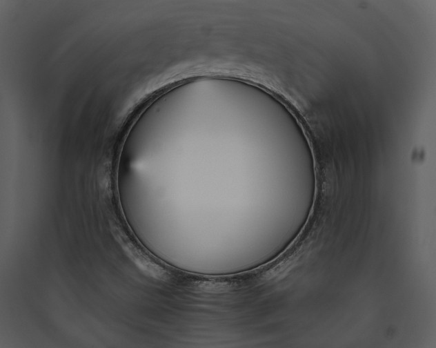 X0000089931499200707131421