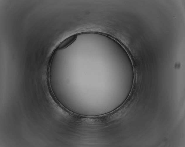 X0000089931500200707131421