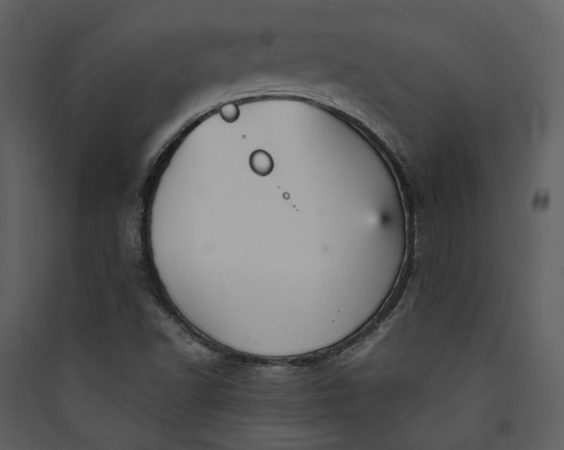 X0000089931502200707131421