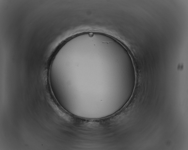 X0000089931503200707131421