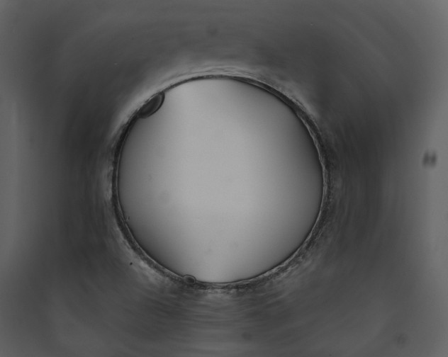 X0000089931504200707131421