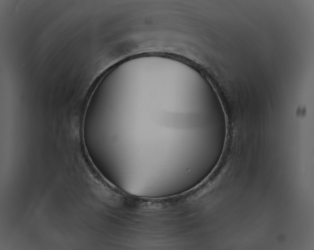 X0000089931505200707131421