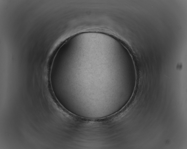 X0000089931506200707131421