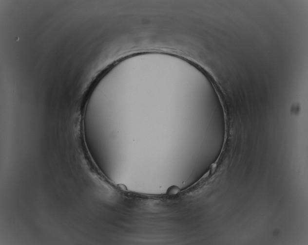 X0000089931507200707131421