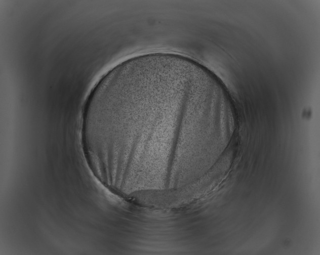 X0000089931508200707131421