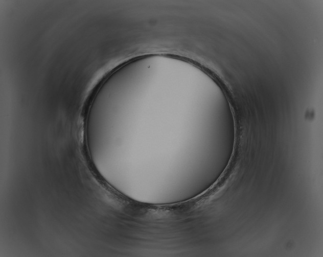 X0000089931509200707131421