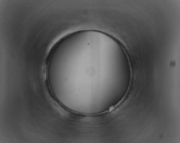 X0000089931510200707131421