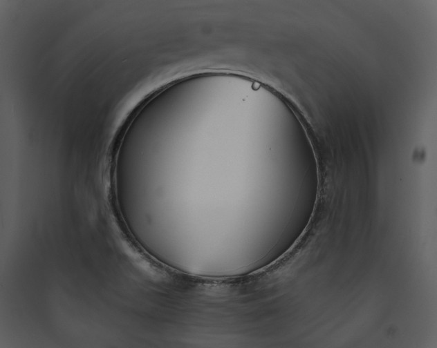 X0000089931511200707131421