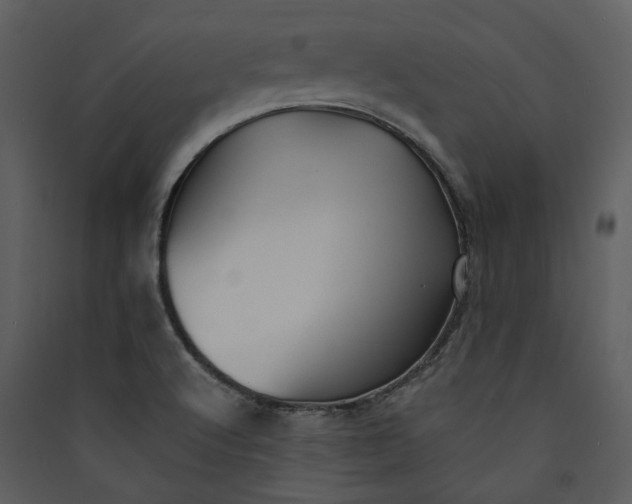 X0000089931512200707131421