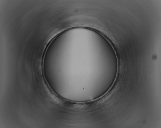 X0000089931513200707131421