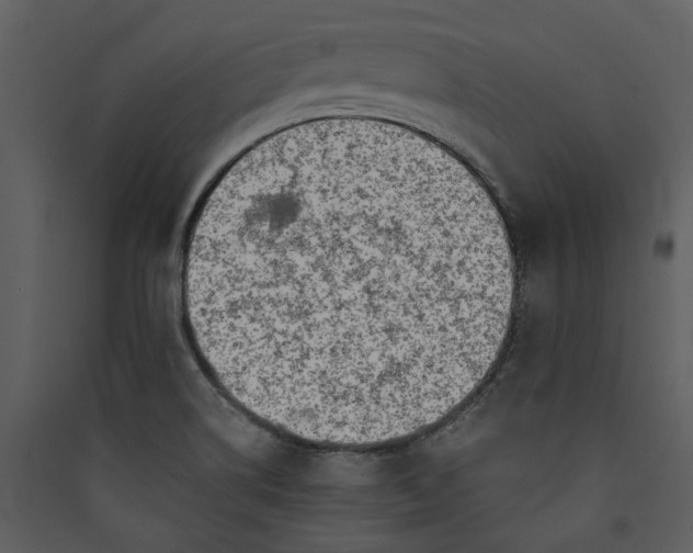 X0000089931514200707131421