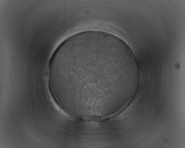 X0000089931515200707131421