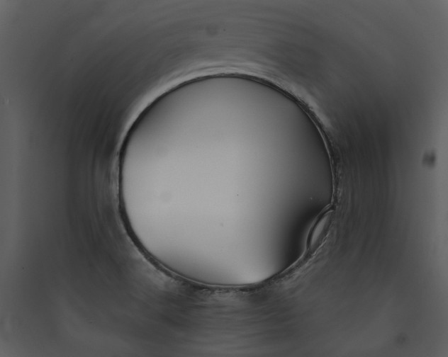 X0000089931516200707131421