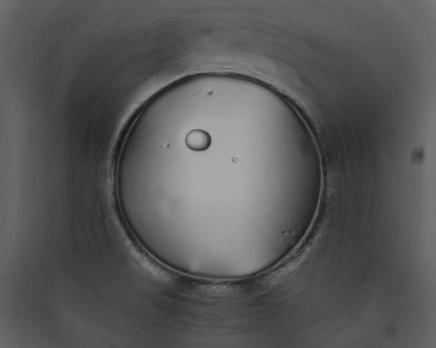 X0000089931517200707131421