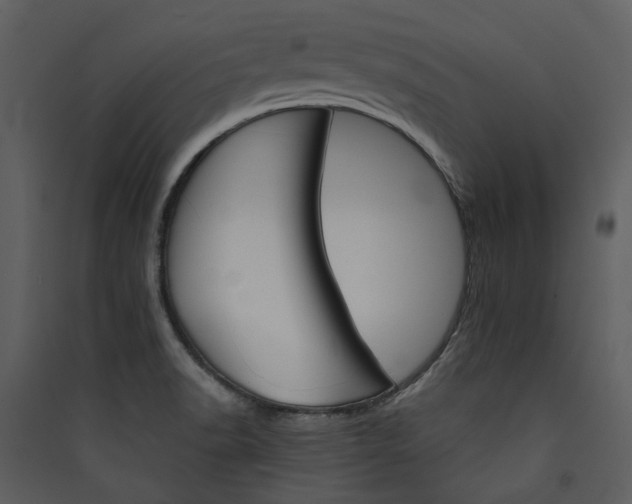 X0000089931518200707131421