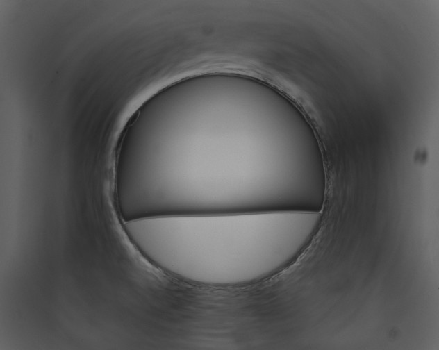 X0000089931520200707131421