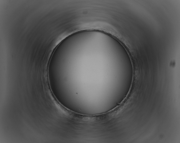 X0000089931521200707131421