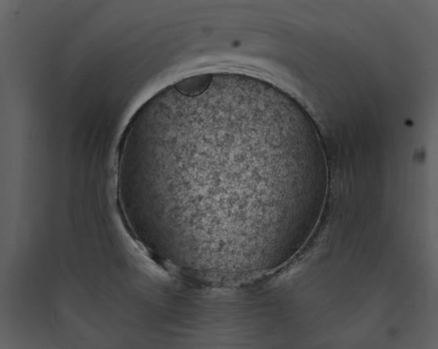 X0000089931522200707131421