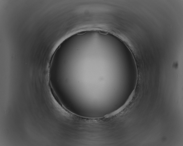 X0000089931524200707131421