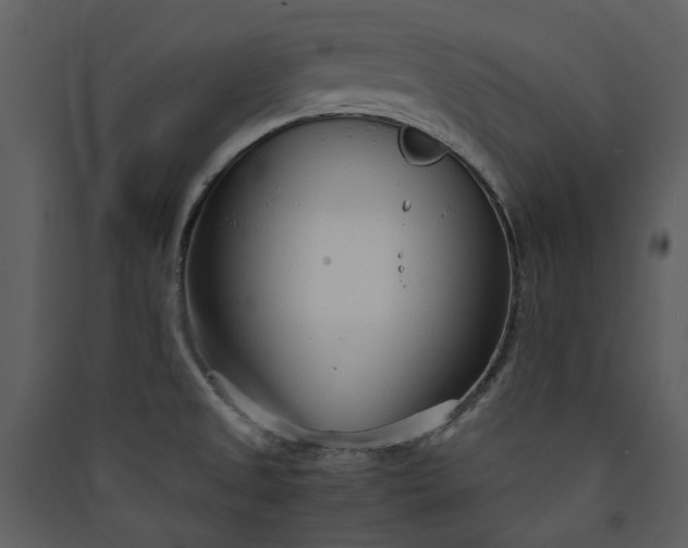 X0000089931525200707131421