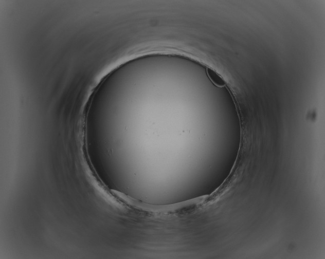 X0000089931526200707131421