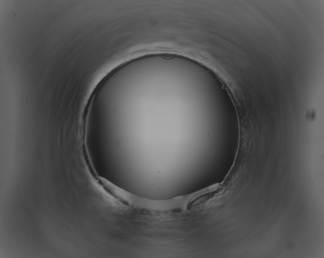 X0000089931527200707131421