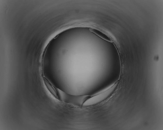 X0000089931528200707131421