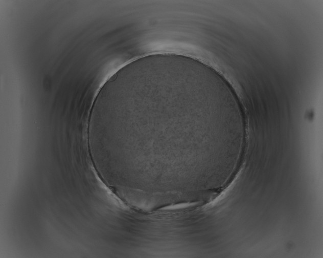 X0000089931529200707131421