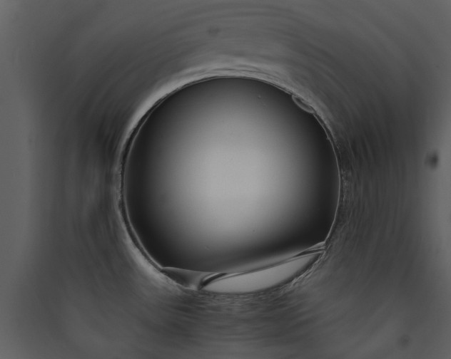 X0000089931531200707131421