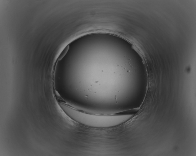 X0000089931532200707131422