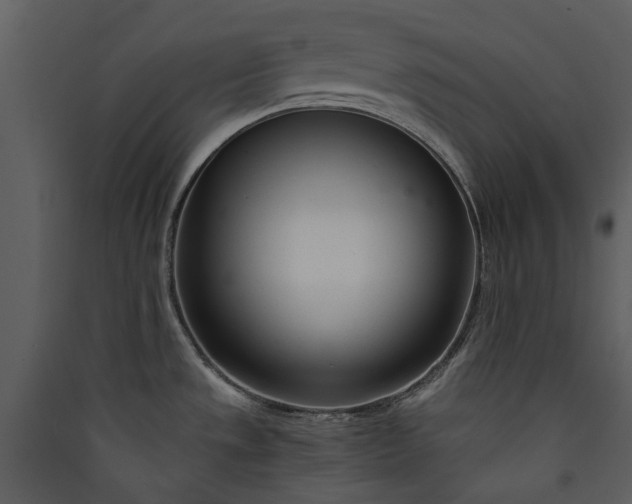 X0000089931533200707131422