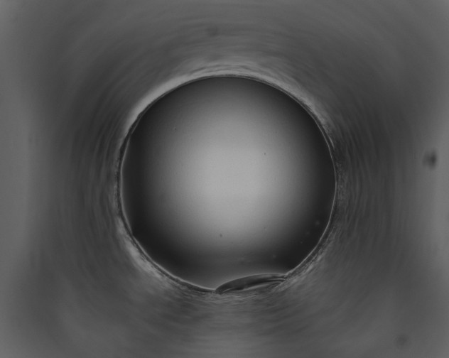 X0000089931534200707131422