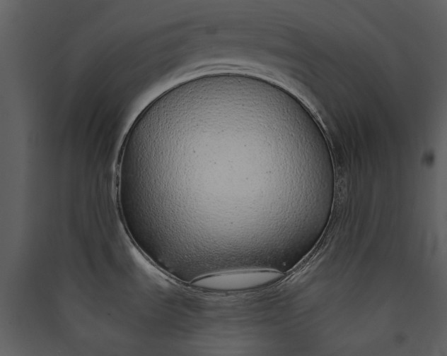 X0000089931535200707131422