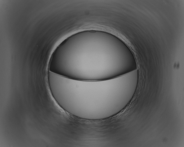 X0000089931536200707131422