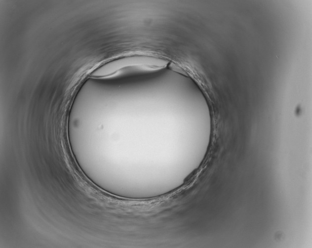 X0000089930001200707201850