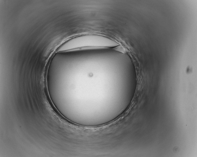 X0000089930002200707201850